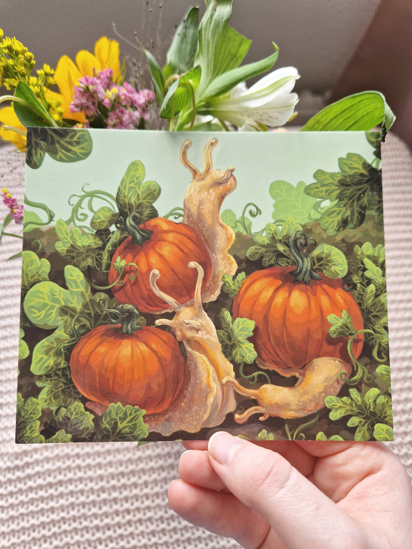 Kürbisschnecke Karte