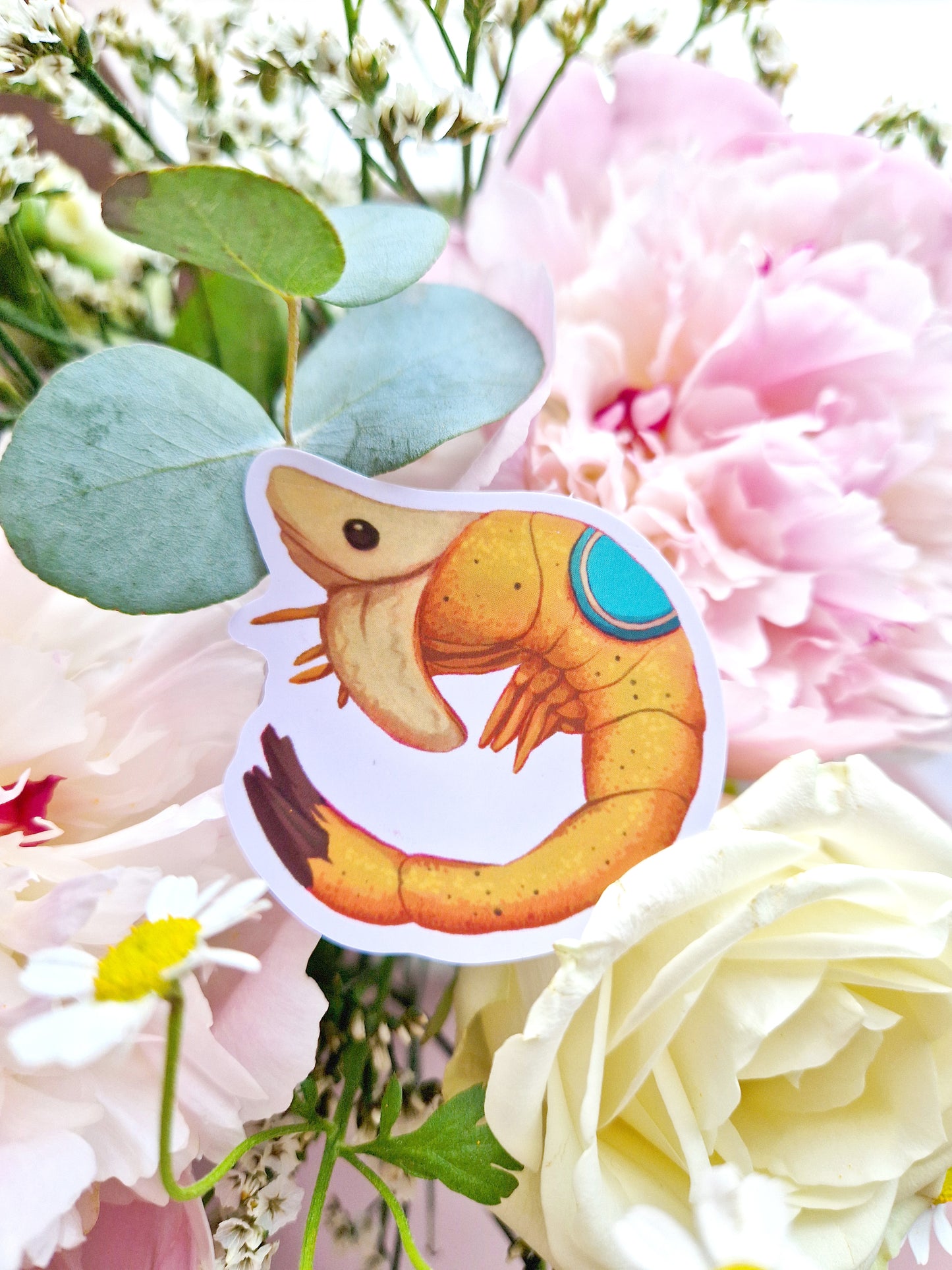 Shranane Sticker