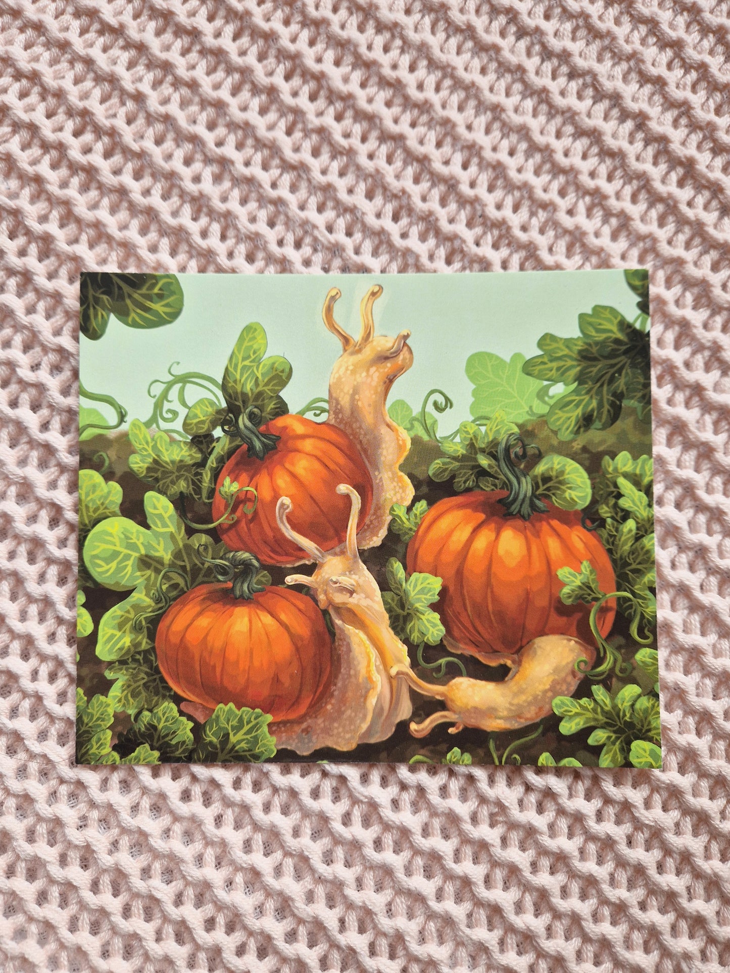 Kürbisschnecke Karte